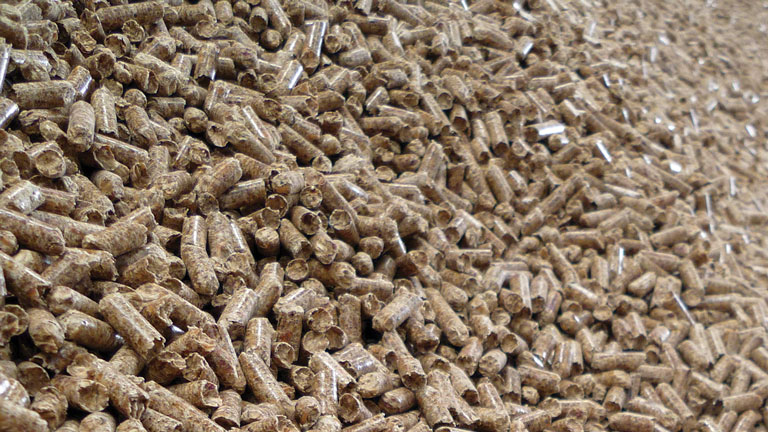 Biomass Biomass